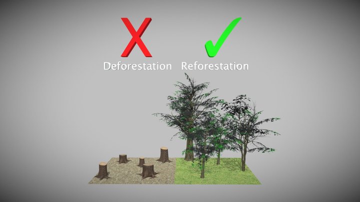Deforestation 3D Model