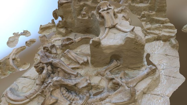 Mammoth Site, SD 3D Model