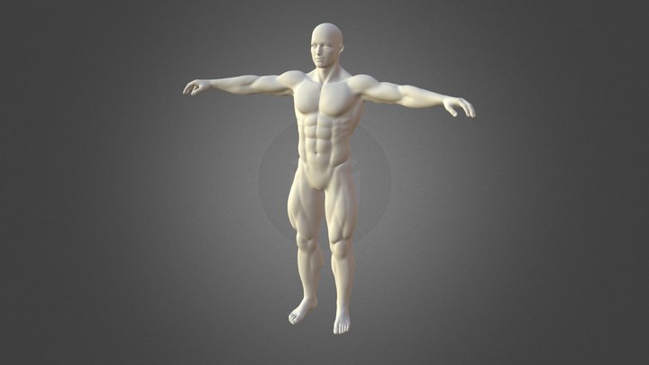 Male Bodybuilder Shaded 3D Model