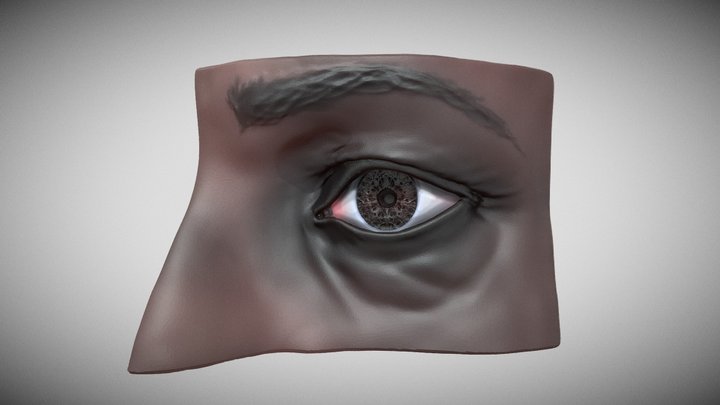 Eye sketch anatomical practice 3D Model