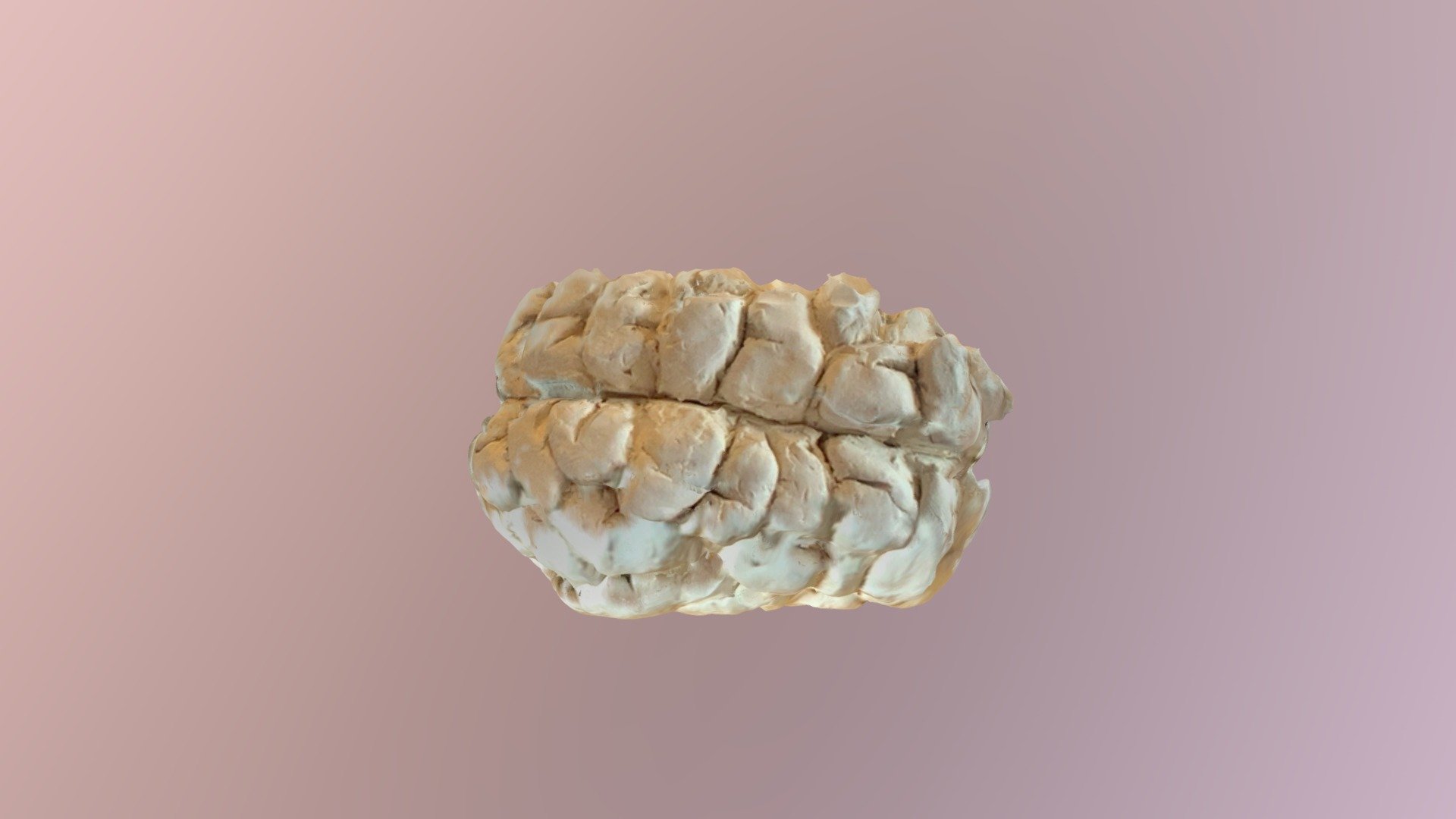 Brain - modeling clay