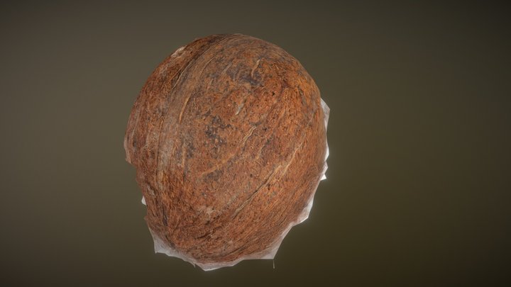Coconut Photoscan(looks nice rendered) 3D Model