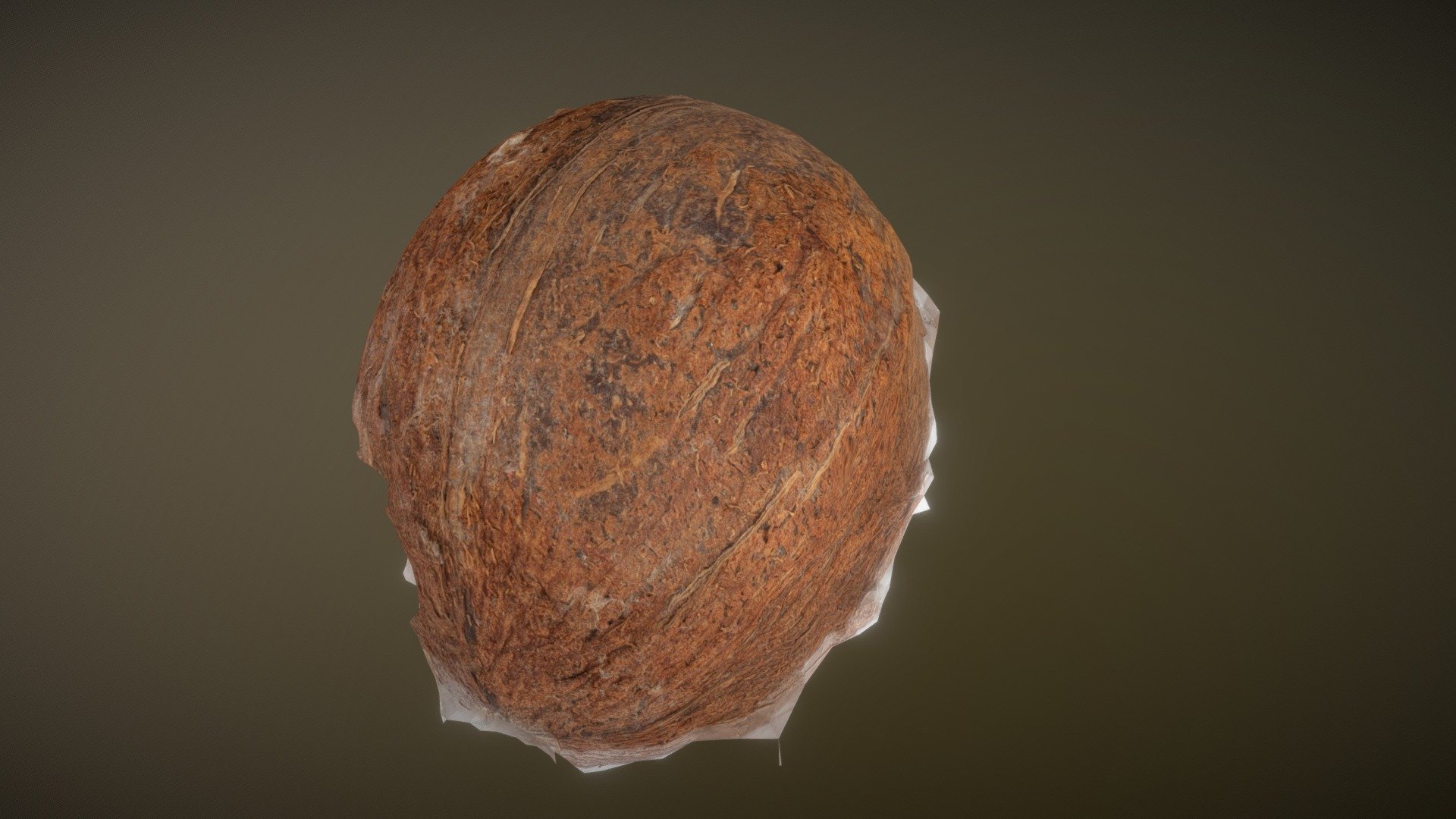 Coconut Photoscan(looks nice rendered)