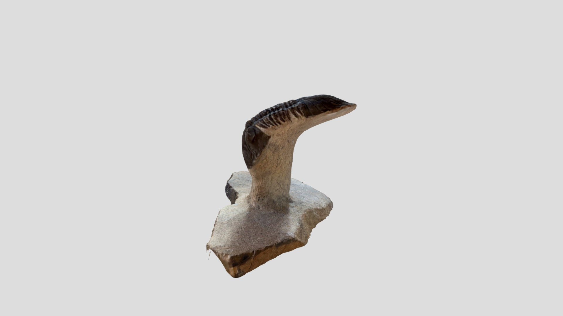Trilobite