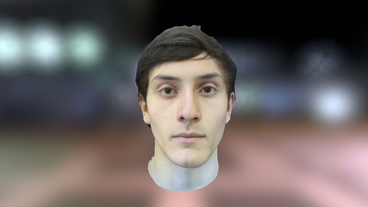 Camera Array Full Head Scan 3D Model