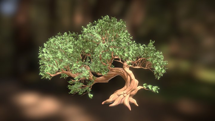 Stylized Tree Hero Asset 3D Model