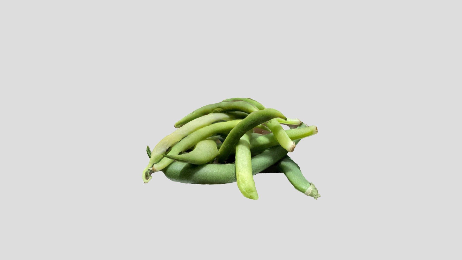 Beans from FNES Garden at Queens College