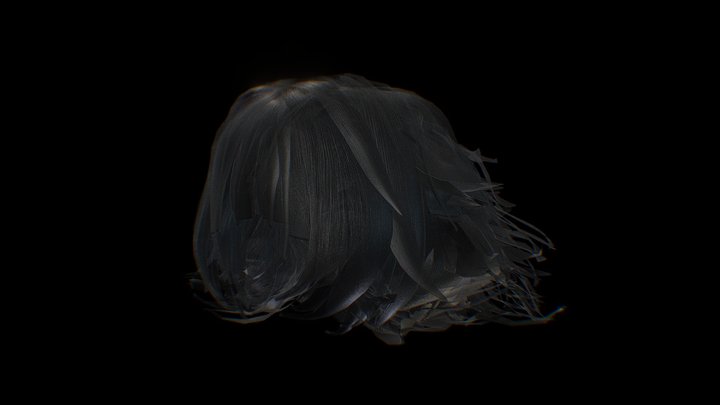 Wolf Hair 3D Model