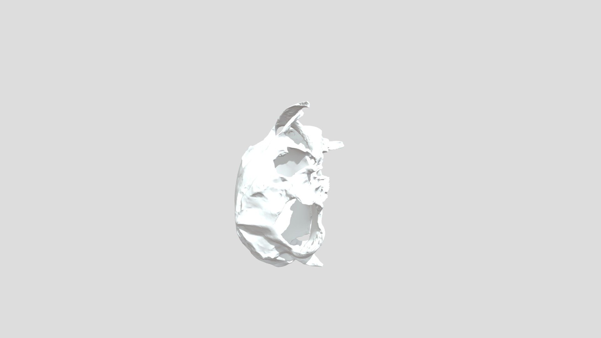 Rat skull — Sketchfab embed 3D viewer