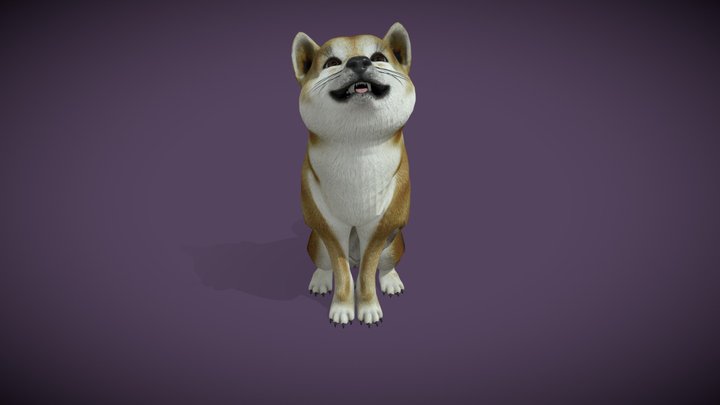 Animated Dog Sits Rolls Over Shake Paw – Modelo 3D gratuito STL