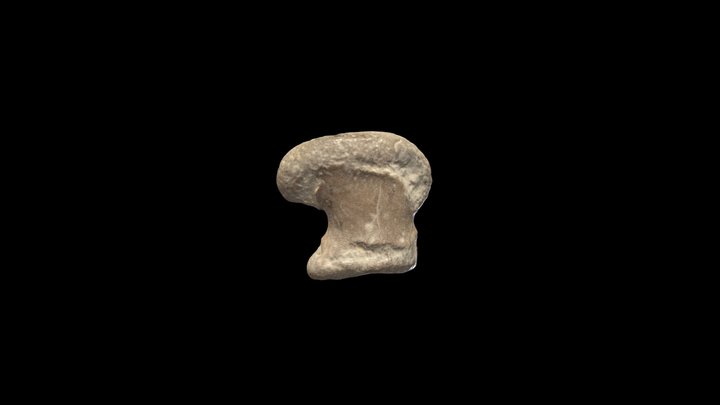 Reptile : Métacarpien de Mosasaurinae