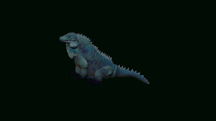 Blue Iguana 3D Model