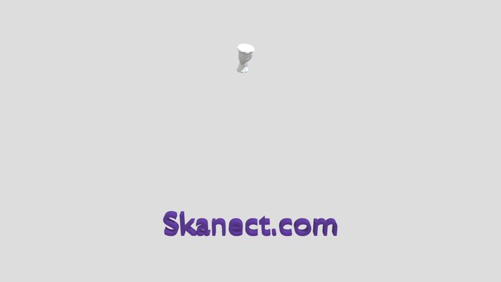New Skanect Model 3D Model