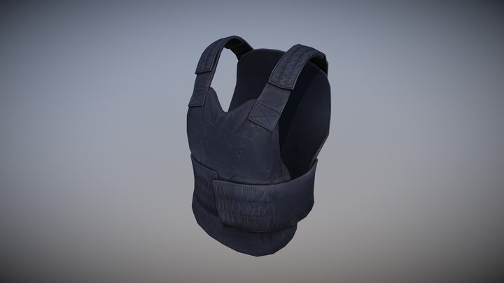 Police vest (DayZ) 3D Model
