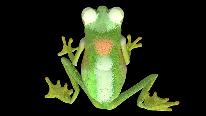 glass frog 3D Model