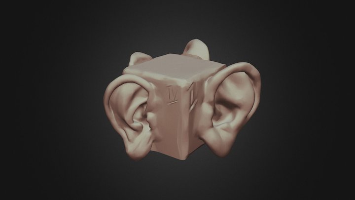 Ears study 3D Model