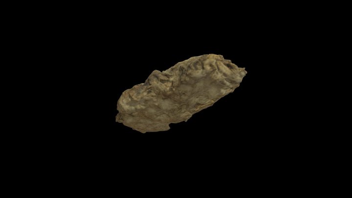 Quid with Dental Impressions 3D Model