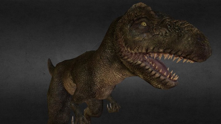 Tyrannosaurus Modeling V01 3D Model