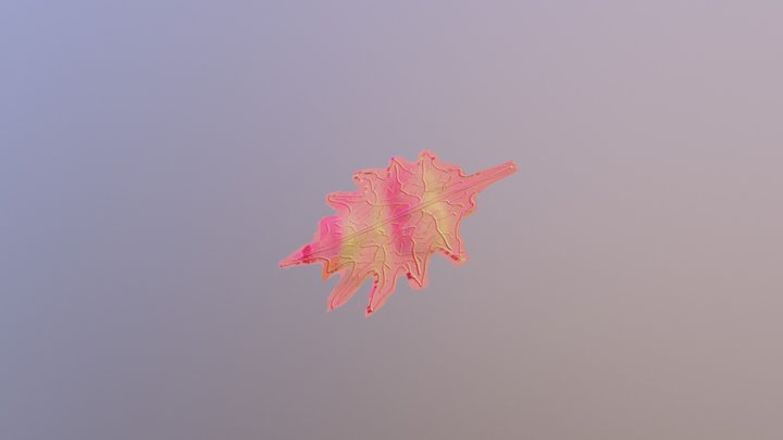 hoja 3D Model