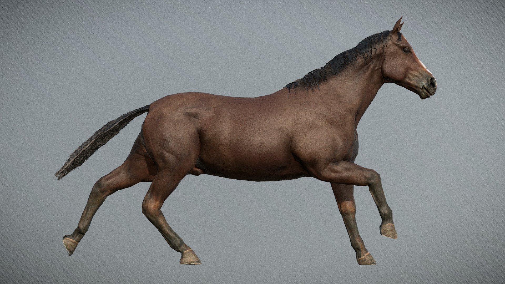 Horse Run Cycle Animated - 3D model by monstermod (@monstermod) [d90e182]