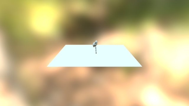 ani_on_10.1v2 3D Model