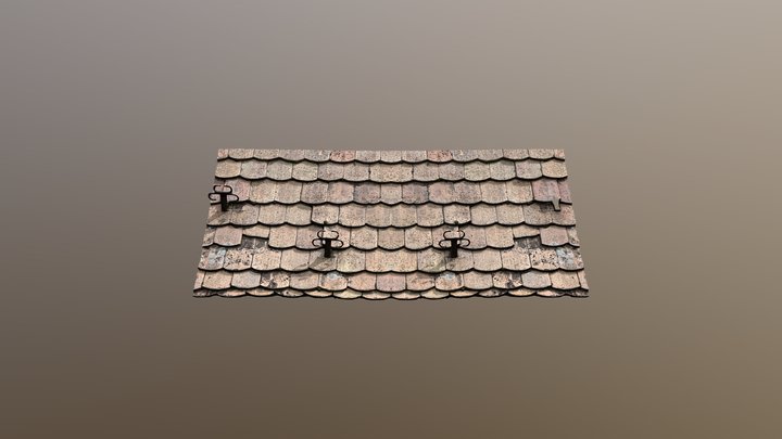 Rural House Roof - photogrammetry 3D Model