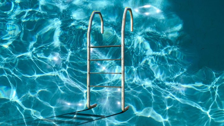 Pool Ladder 3D Model