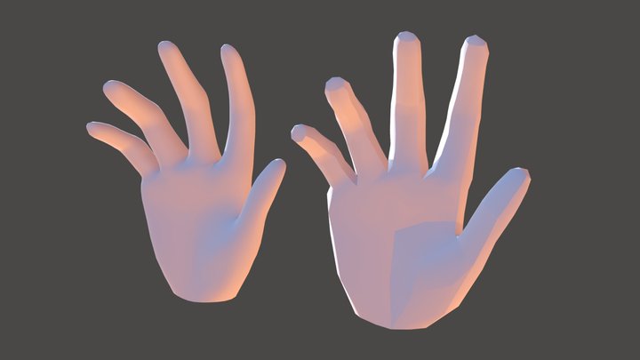 Hand Models 3D Model