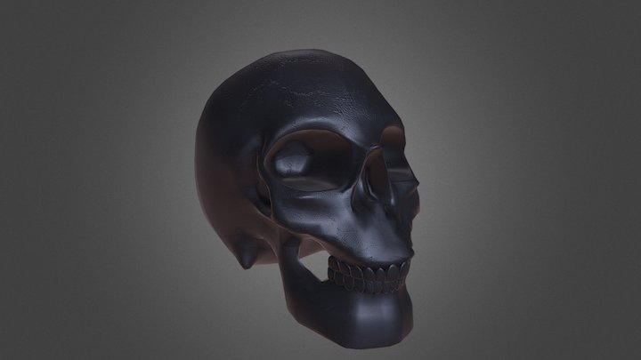 Skull 3D Model