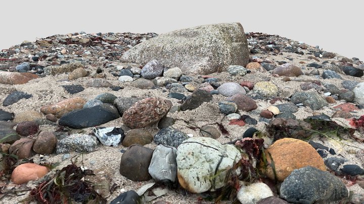 stony beach 02 3D Model
