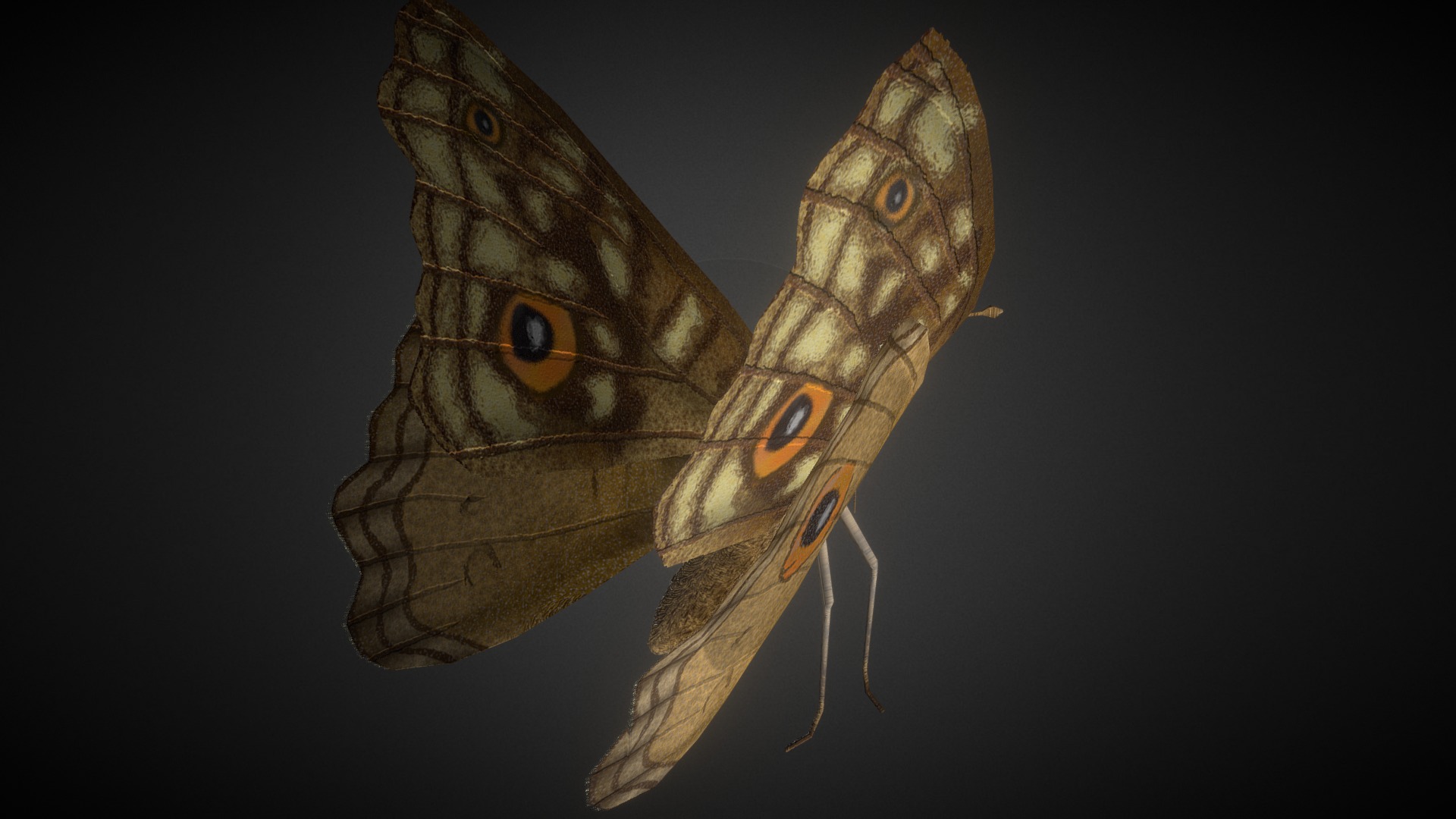 3D model Junonia Lemonias Butterfly Rigged - This is a 3D model of the Junonia Lemonias Butterfly Rigged. The 3D model is about a fish with a long tail.
