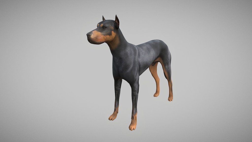Dog - 3D model by PinkCloud Studio (@pinkcloudstudio) [d913058] - Sketchfab