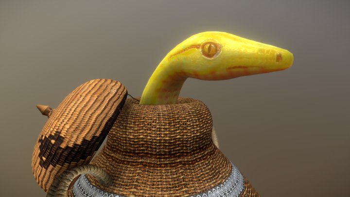 Snakebasket 3D models - Sketchfab