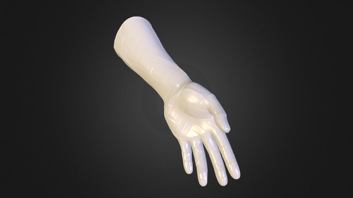 Diseño Prótesis Hombre N1 3D Model