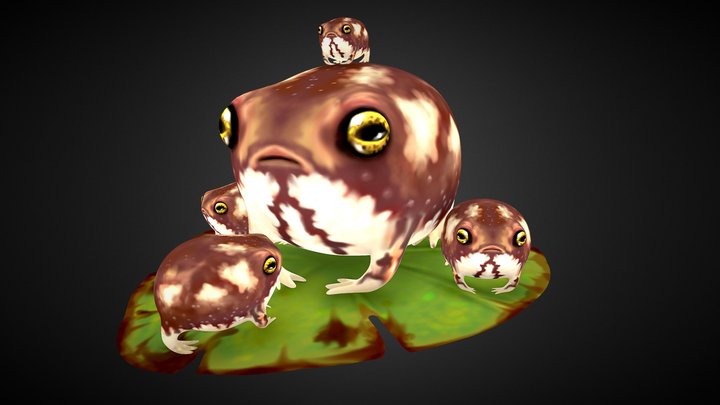 Desert Rain Frog 3D Model