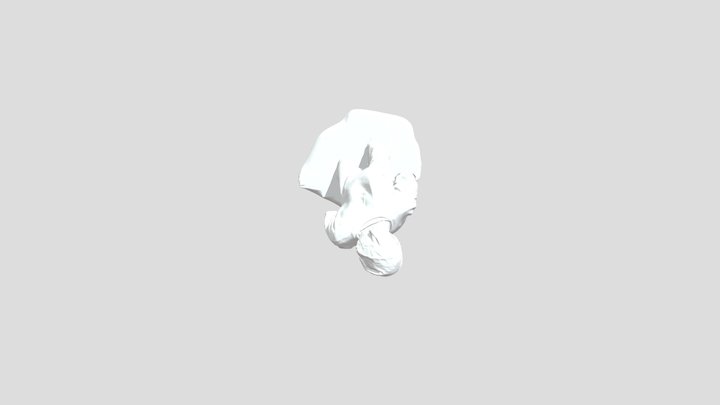 Partner_ Scan_E Wedgeworth 3D Model