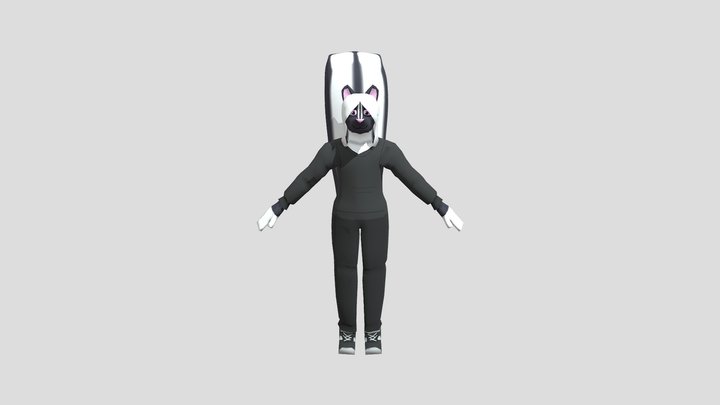 VHBC 3D Model