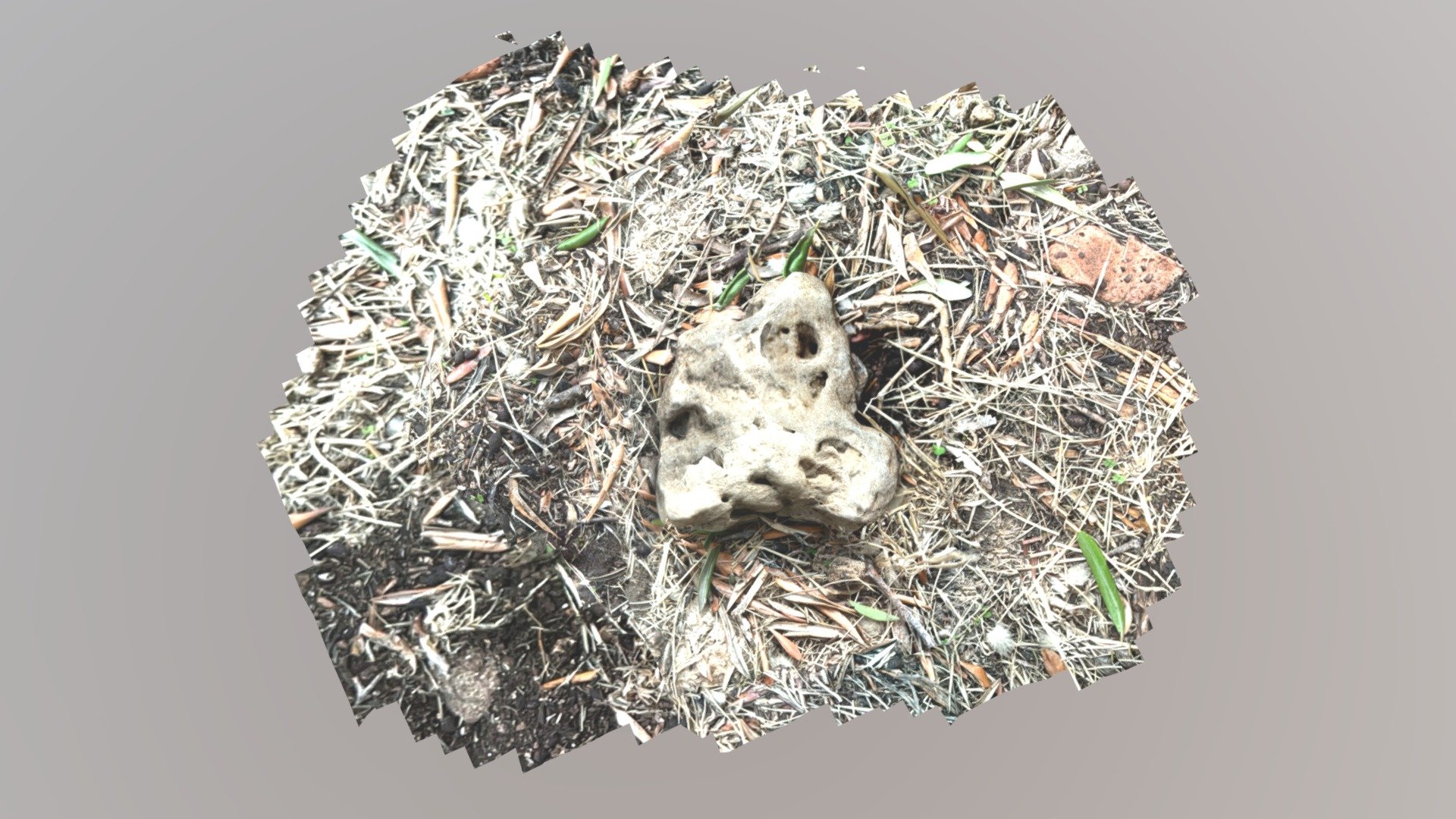 Survey Scan #77 — Sketchfab embed 3D viewer