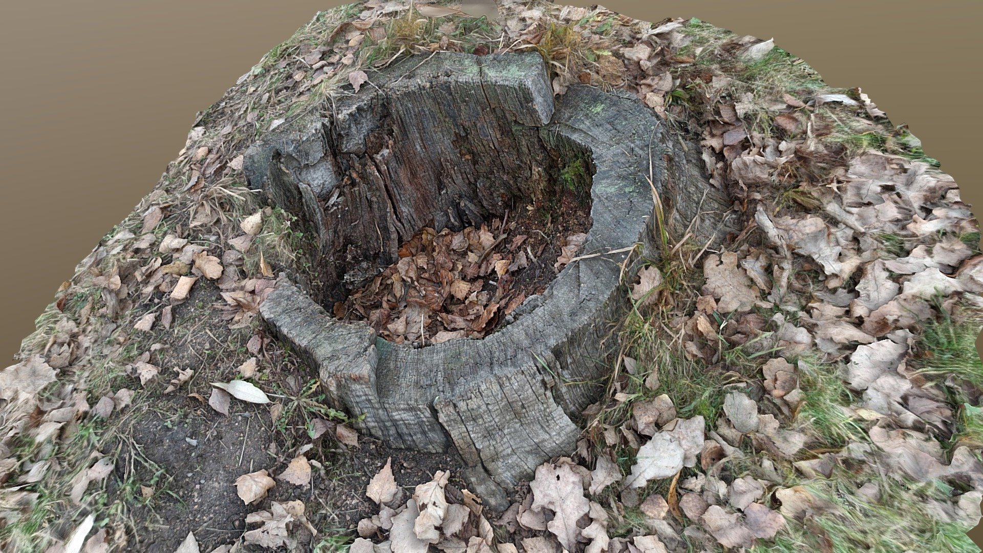 Stump