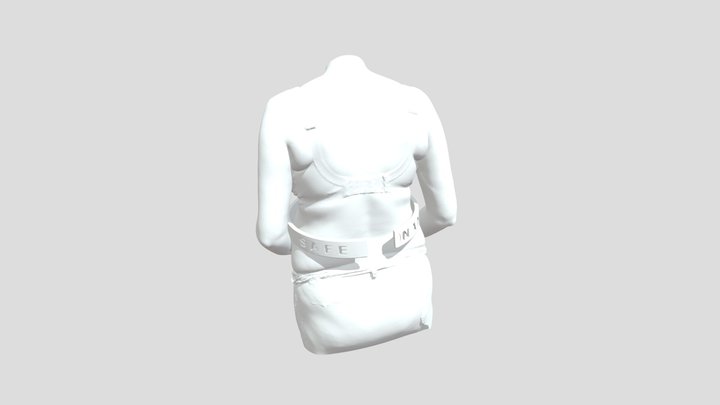 Safe°Nant 3D Model