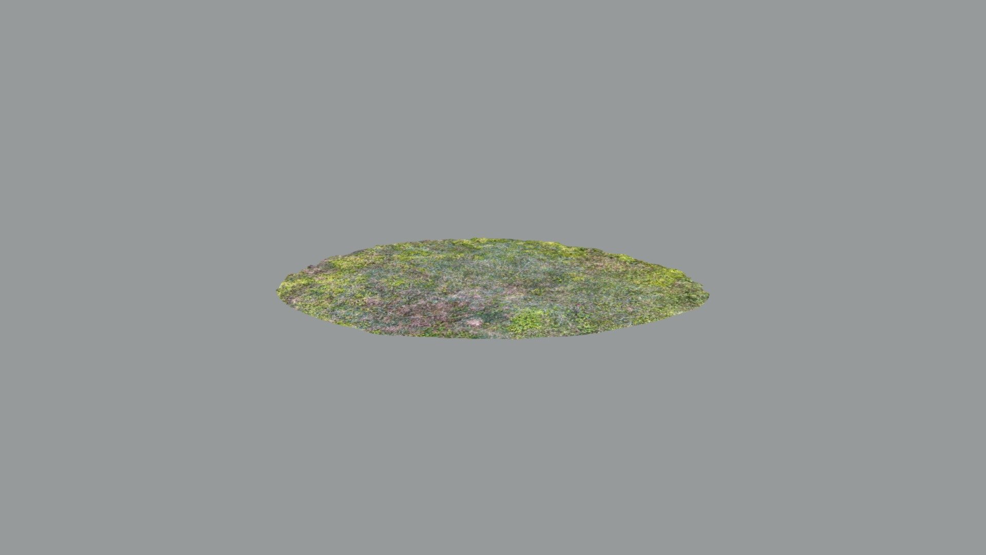 Grass 2