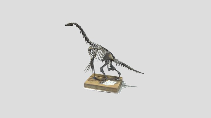 Therizinosaurus cheloniformis 3D Model