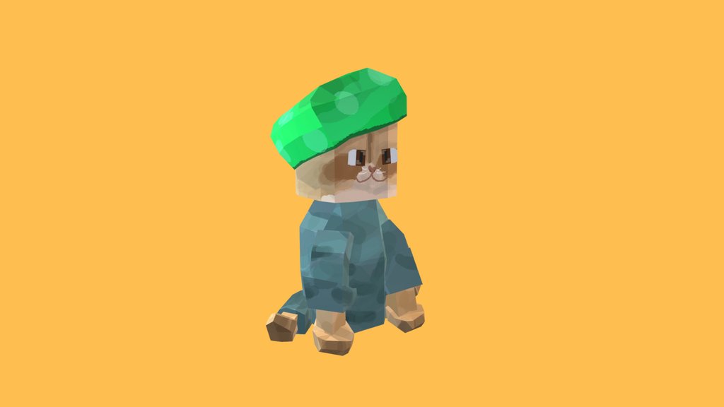 Cat  musulmanin