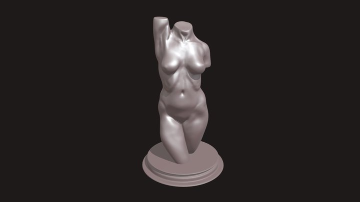female torso 3d print 3D Model