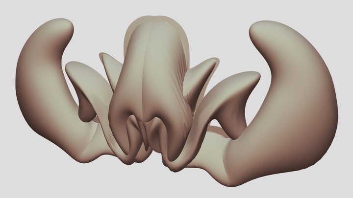 3 3D Model