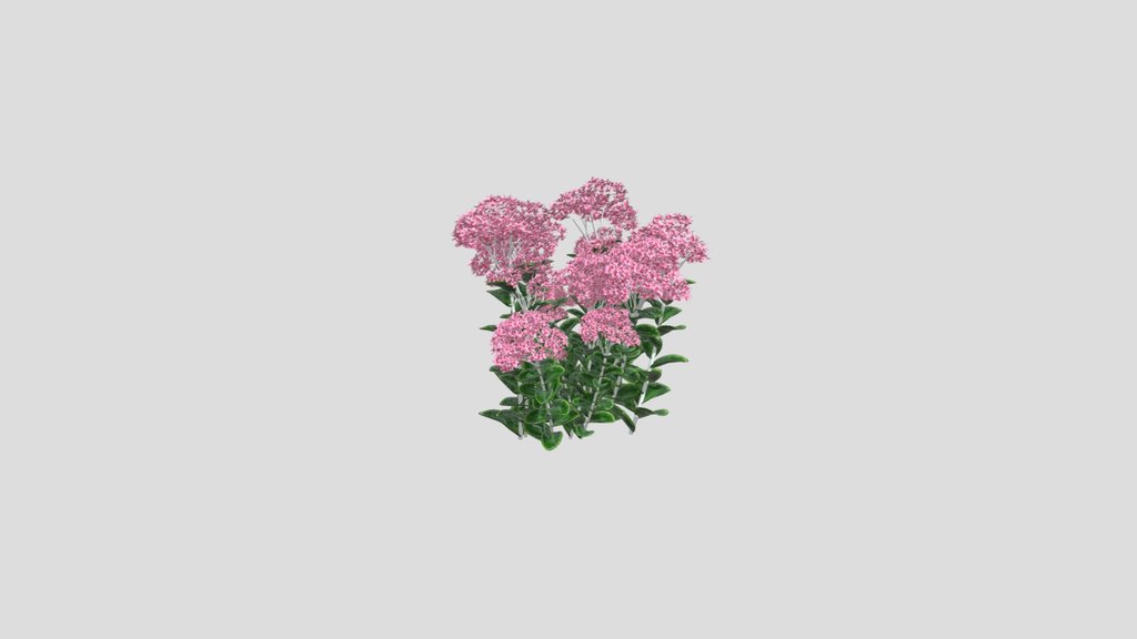 Stonecrop Bouquet
