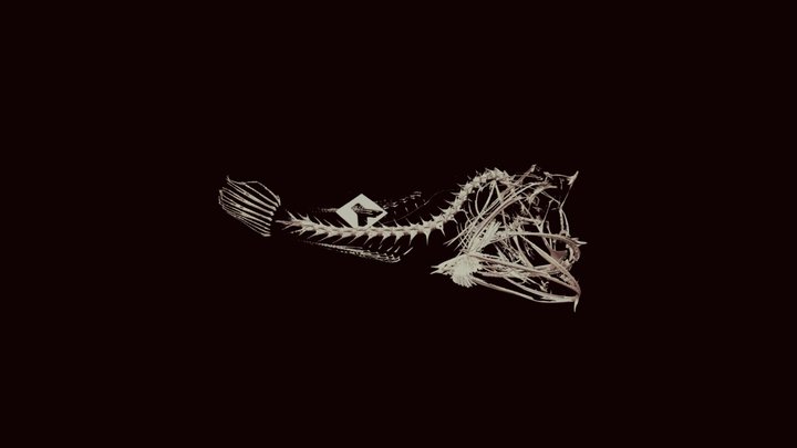 UW 047531 Lophodolos Indicus 3D Model