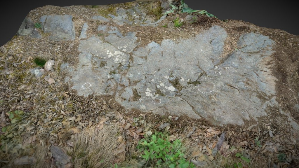 B160.36 - Brixen, Elvas, Vogeltenne