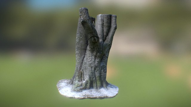 Tree Model 02 - Photogrammetry 3D Model