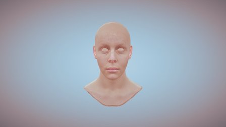 head skin realtime test 3D Model